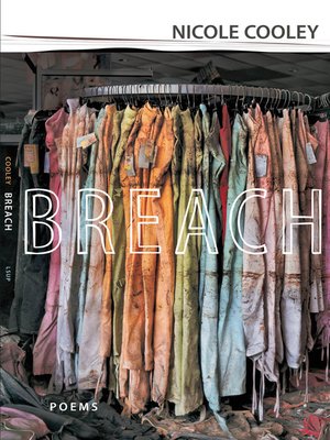 cover image of Breach